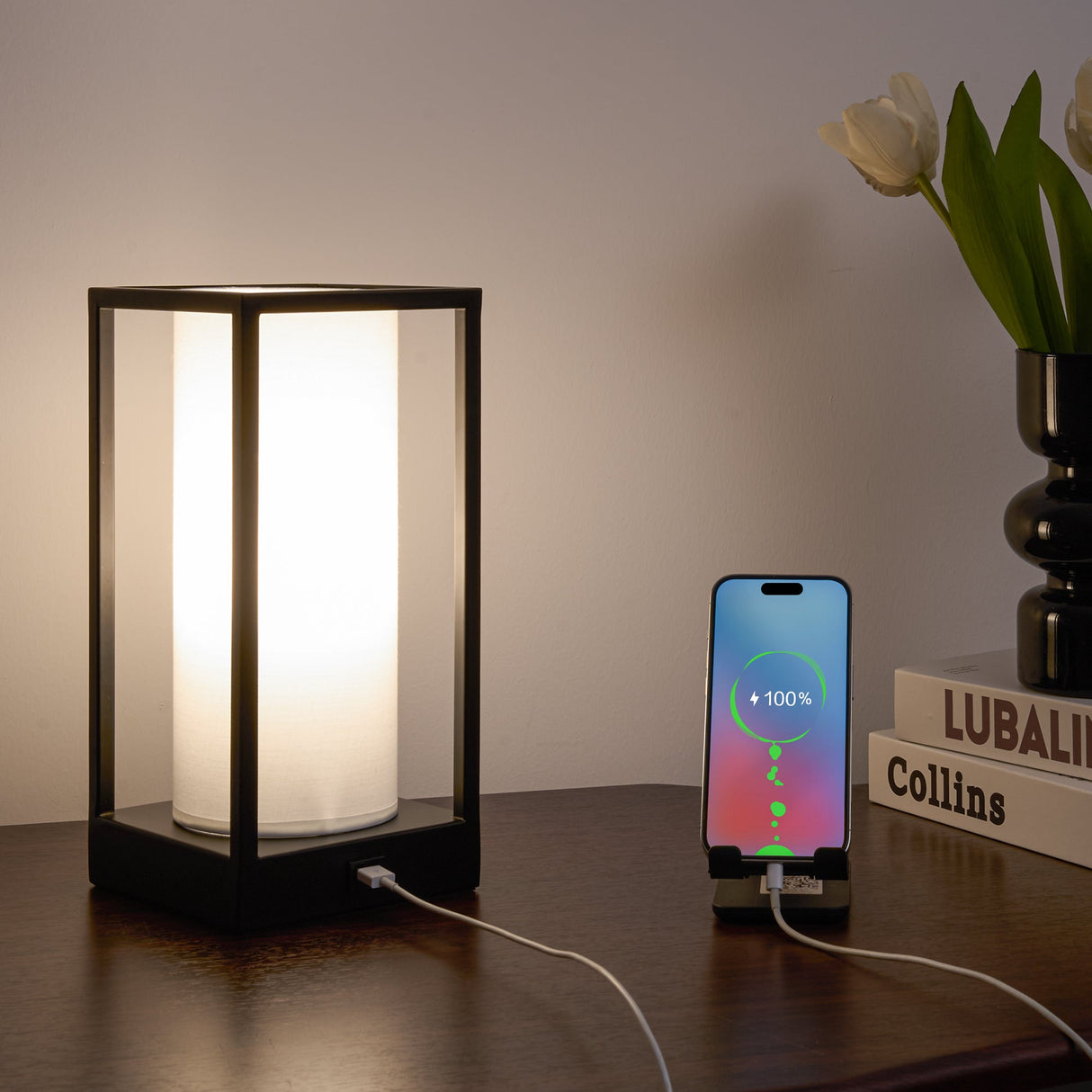 Hokkaido Adjustable Table Lamp with USB Charger