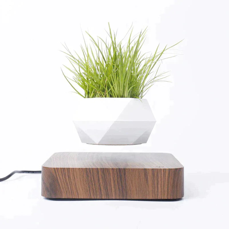 Reo Levitating Flower Pot - BLISOME