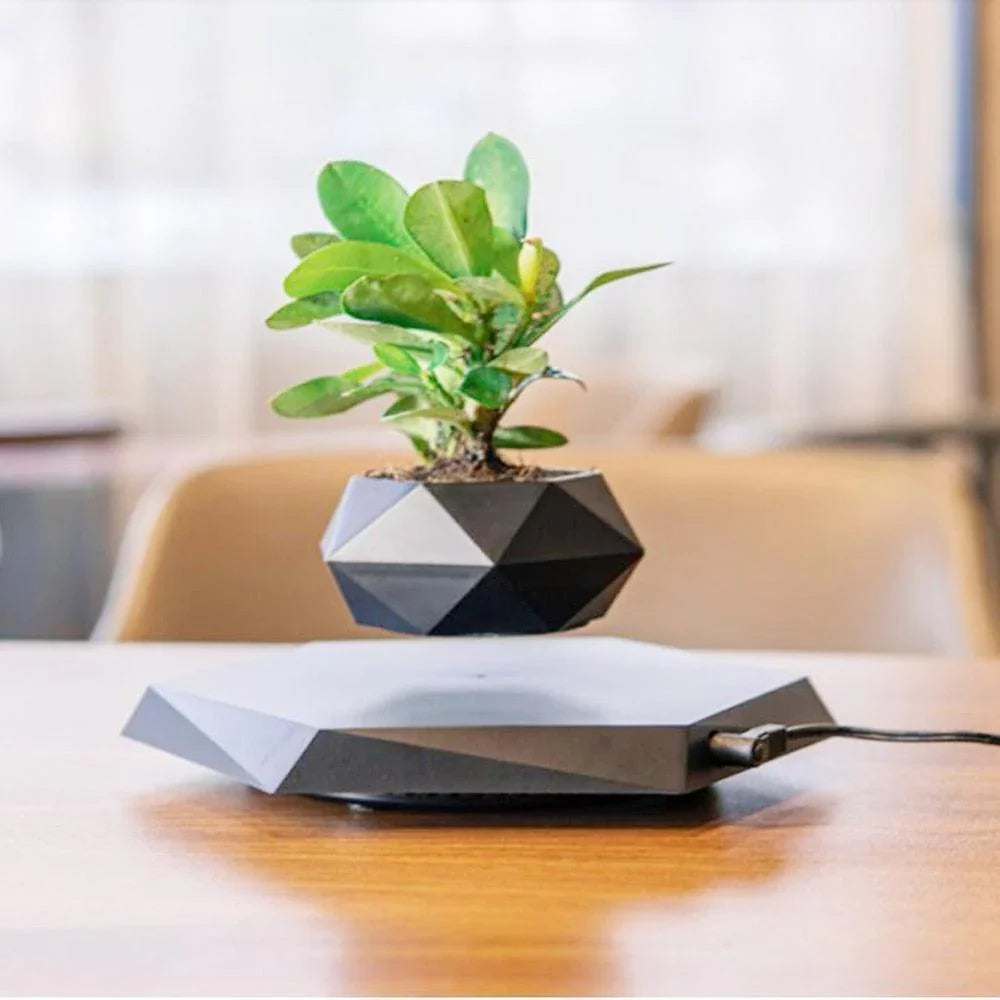 Reo Levitating Flower Pot – Modern Floating Planter