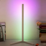 Eno Corner Light - Floor Lamp - BLISOME