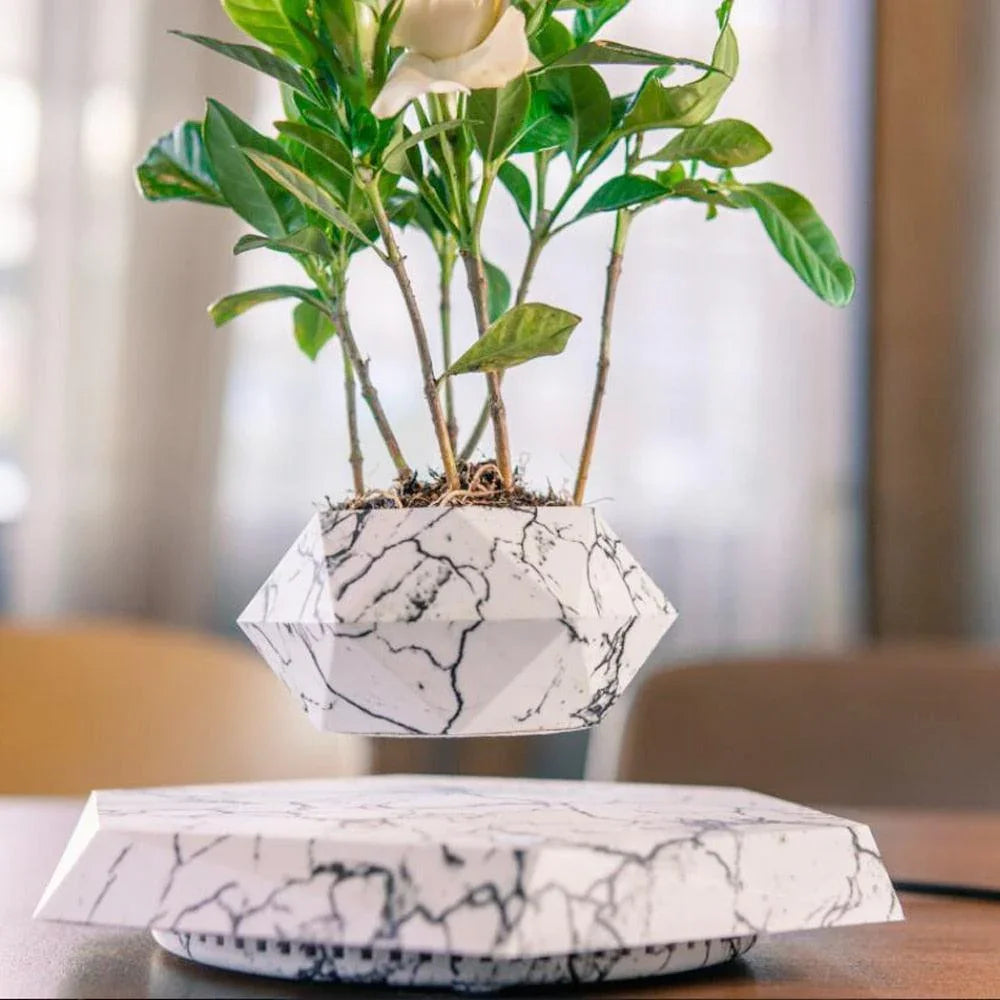 Reo Levitating Flower Pot - BLISOME