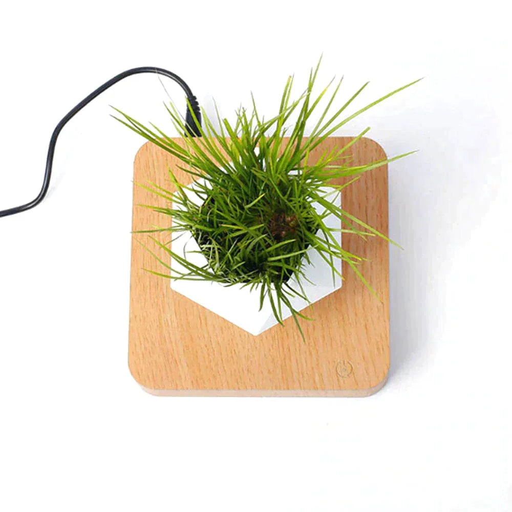 Reo Levitating Flower Pot - BLISOME