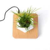 Reo Levitating Flower Pot - BLISOME