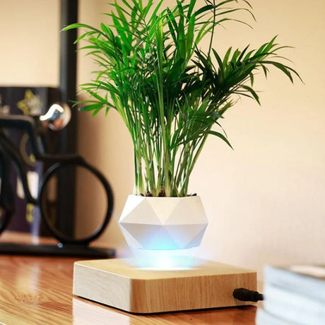 Reo Levitating Flower Pot - BLISOME