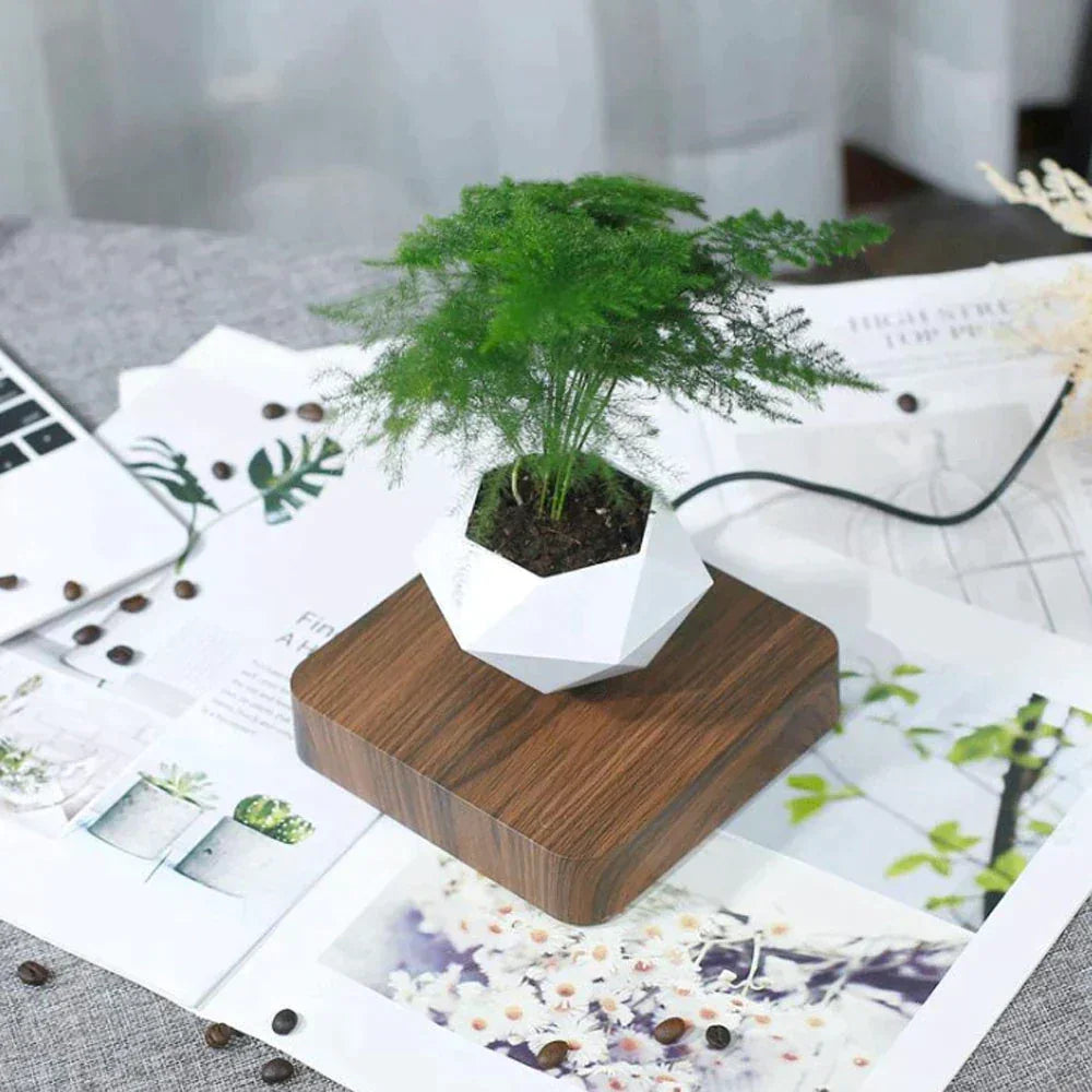 Reo Levitating Flower Pot - BLISOME