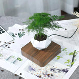 Reo Levitating Flower Pot - BLISOME