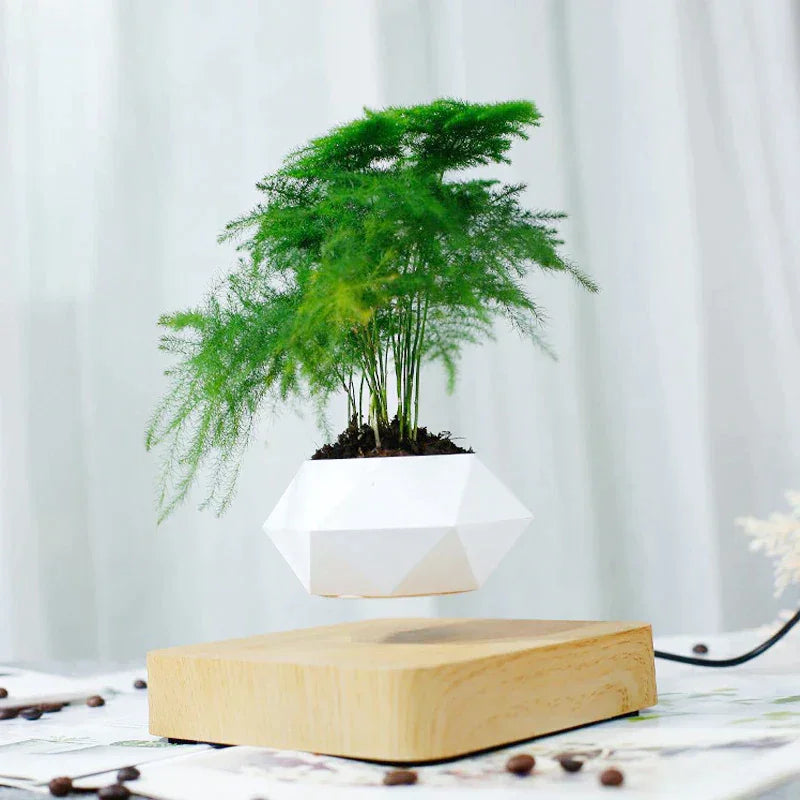 Reo Levitating Flower Pot - BLISOME
